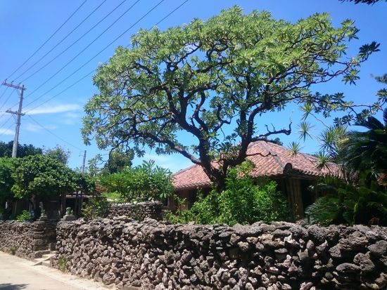 バラス島上陸付きシュノーケリングツアー　シュノーケリングは2-4か所でたっぷり海を満喫！鳩間島散策付き1日プランあり＜上原港または西部地区無料送迎／西表島＞