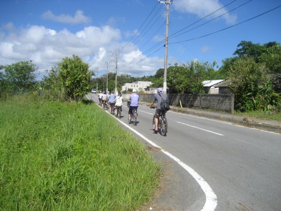 サイクリングツアー　ガイド貸切！ワルミ架橋や古宇利大橋、マングローブ林などにご案内＜3時間／屋我地島＞by 屋我地エコツーネット