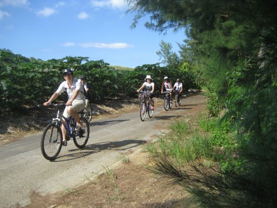 サイクリングツアー　ガイド貸切！ワルミ架橋や古宇利大橋、マングローブ林などにご案内＜3時間／屋我地島＞by 屋我地エコツーネット