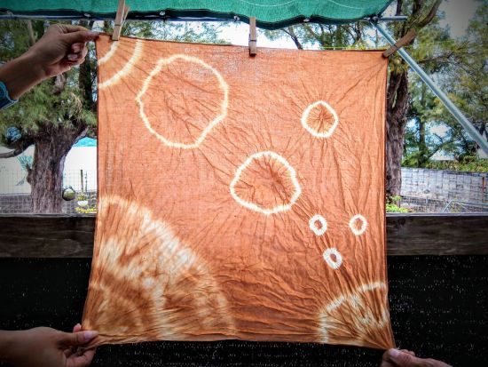 マングローブ染め体験+マングローブ散策ツアー　1グループ貸切のプライベートプラン＜屋我地島＞by 屋我地エコツーネット