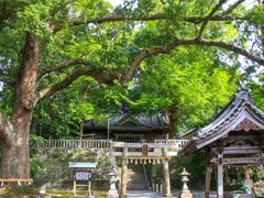 pixta_71407803_M