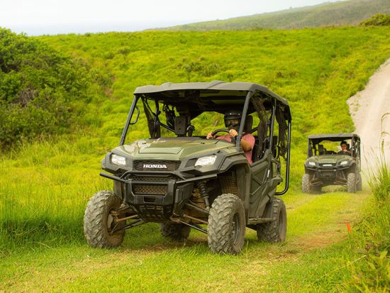 ハワイ島 UTVツアー　コハラコーストの豊かな熱帯雨林や壮大なポロル渓谷をスリル満点のUTV（バギー）で巡る ＜英語ガイド＞