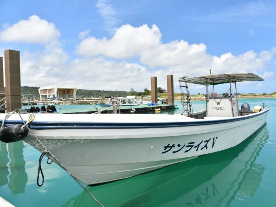 PADIオープンウォーターライセンス取得コース　「グリーンフィンズ」認定ショップで楽しく学ぶ！宿泊パッケージあり＜3泊4日／恩納村発＞by ピンクマーリンクラブ