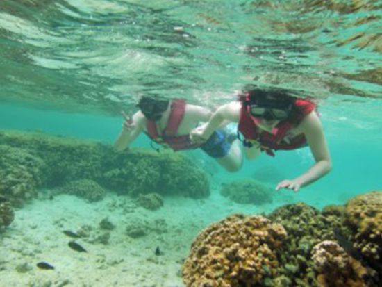 サンドバー　シュノーケリング貸切クルーズ　アクションクラブ号　大人数のグループ向け！大型カタマラン船をチャーター＜100～120名／午前・午後／日本語クルー＞