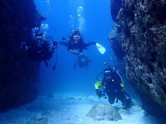 ファンダイビング　「グリーンフィンズ」認定ショップで学びながらダイビング！リフレッシュダイブもご用意＜ボート／恩納村発＞