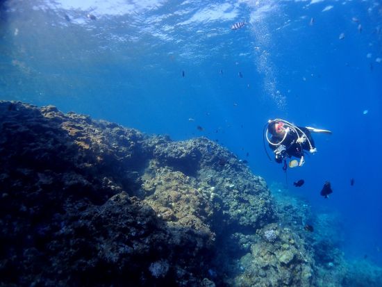 PADIオープンウォーターライセンス取得コース　「グリーンフィンズ」認定ショップで楽しく学ぶ！宿泊パッケージあり＜3泊4日／恩納村発＞by ピンクマーリンクラブ