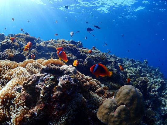 ファンダイブポイント山田ポイント