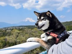 pixta_64515325_M