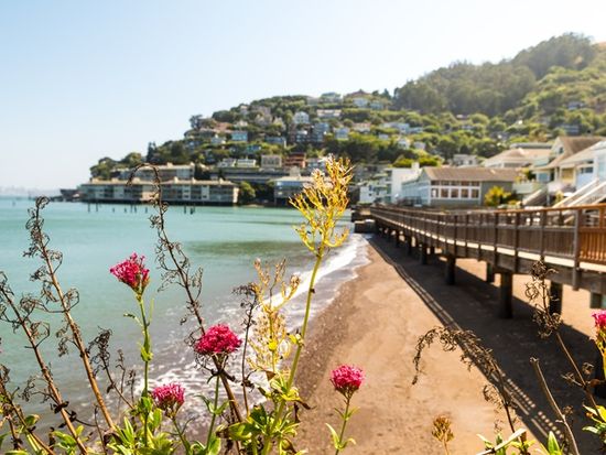 USA_San Francisco_Sausalito Town_shutterstock_720898786