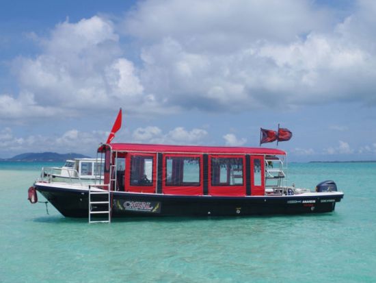 ボートチャーター 完全貸切クルージングでプライベートツアー＜市街地ホテル送迎可／石垣島発＞