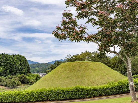 貸切観光タクシー 飛鳥寺・石舞台古墳・高松塚古墳をめぐる飛鳥路コース＜6時間／1～9名／奈良市内ホテル・奈良駅発＞by 服部タクシー