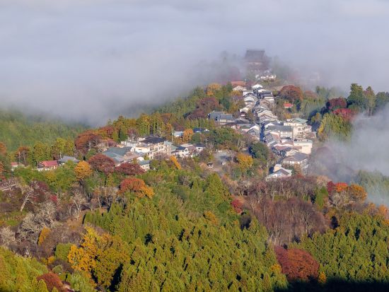 貸切観光タクシー 金峰山寺・吉野神宮・吉水神社をめぐる吉野山コース＜6時間／奈良市内発＞by 服部タクシー