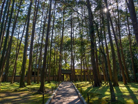 貸切観光タクシー 法隆寺・中宮寺・慈光院・薬師寺など「西ノ京」をめぐる 古都奈良おすすめコース ＜4.5時間／1～9名／奈良市内送迎可＞ by 服部タクシー
