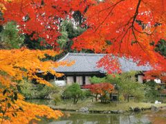 浄瑠璃寺