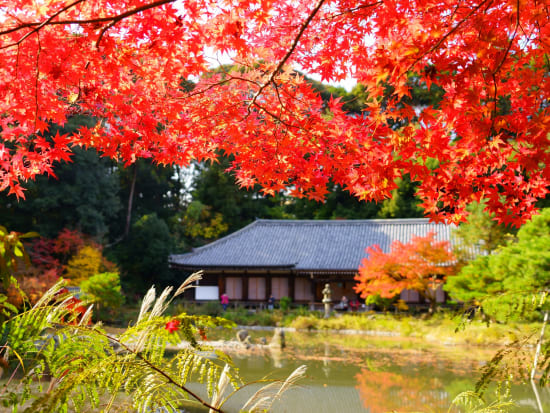 Japan_Nara_Joururi-temple_pixta_63139613_L