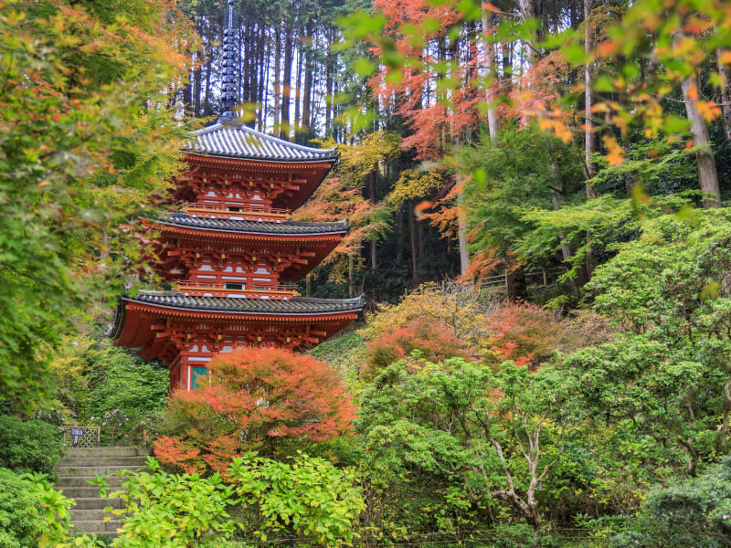 Japan_Nara_Gansen-temple_pixta_60056774_L