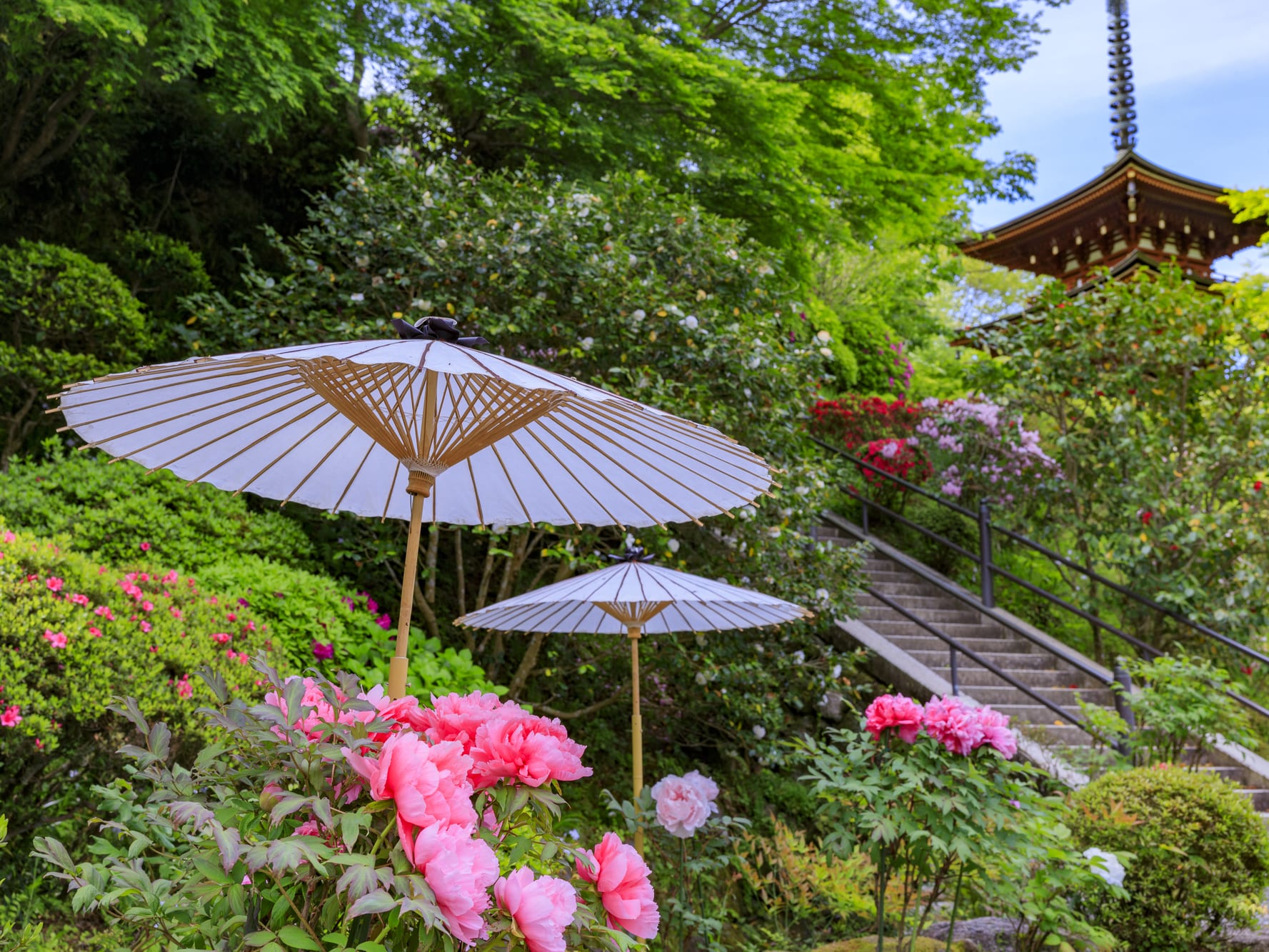 名香 豊山香(檀) 総本山長谷寺 - リラクゼーション