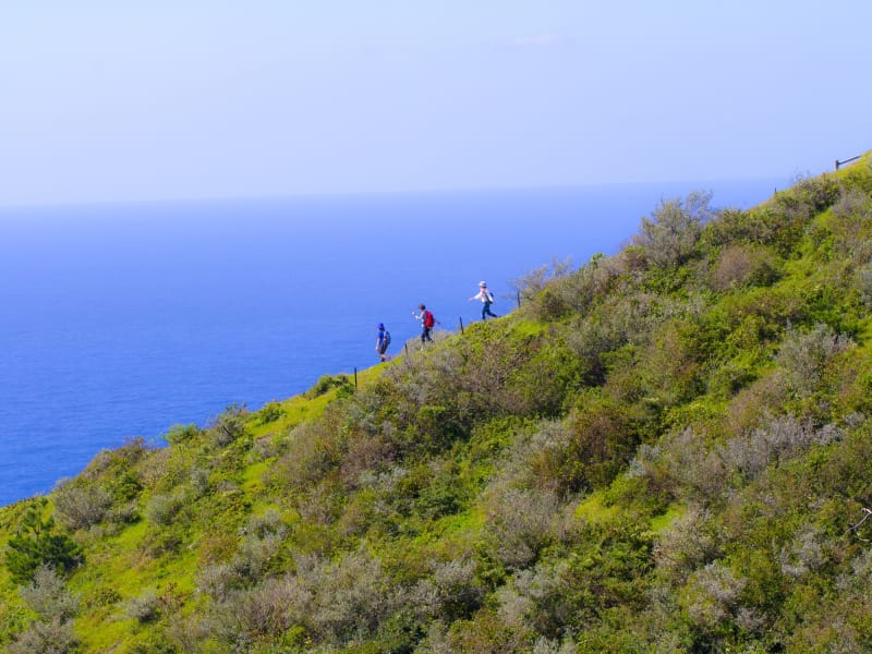 西ノ島天空ウォーキング