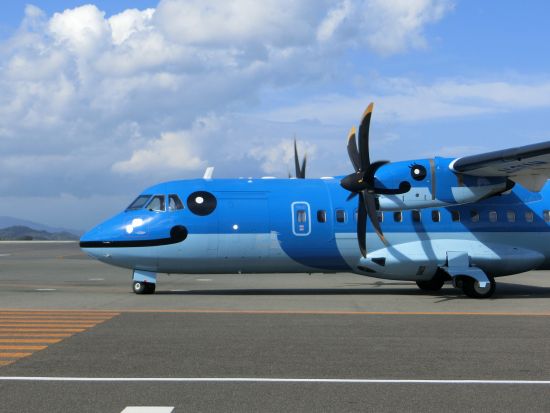 福岡から天草へ！往復航空券＆レンタカー 天草市日帰りパッケージ　世界文化遺産の構成資産「﨑津集落」や天草グルメを巡る旅にぴったり ＜1日／福岡空港発着＞