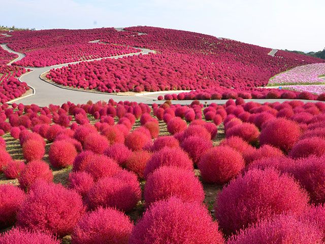 20211007030732_1089403799_1310