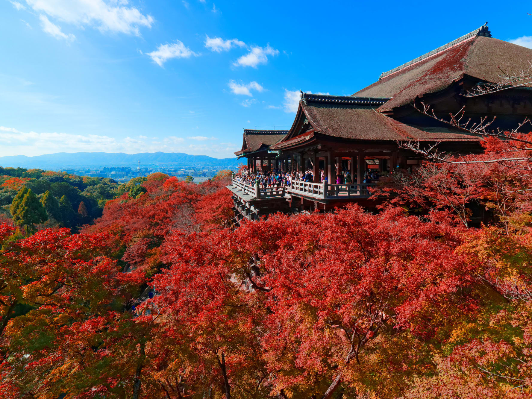 銀閣寺 から 金閣寺 人気 バス