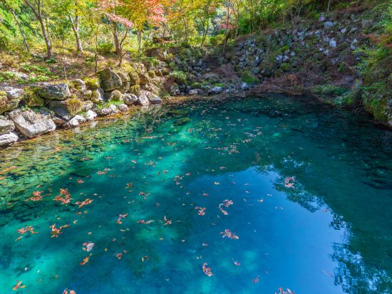 貸切観光タクシー SNSで話題！高知版モネの池「白龍湖」貸切観光　人気の仁淀ブルーも巡る1日プラン有＜4時間 or 7時間／選べる出発時間／高知市内発＞