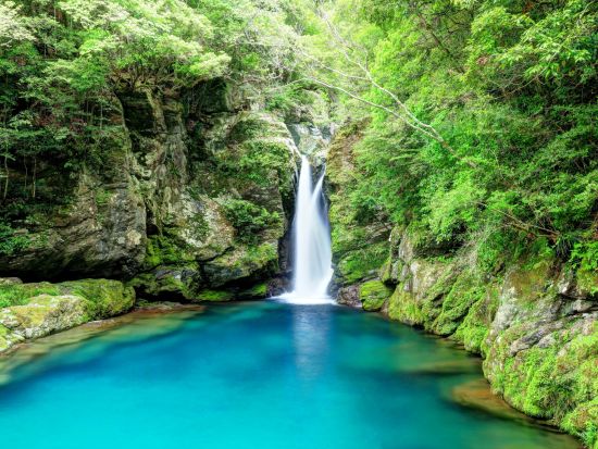 貸切観光タクシー SNSで話題！高知版モネの池「白龍湖」貸切観光　人気の仁淀ブルーも巡る1日プラン有＜4時間 or 7時間／選べる出発時間／高知市内発＞