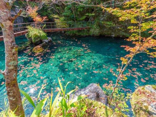 貸切観光タクシー SNSで話題！高知版モネの池「白龍湖」貸切観光　人気の仁淀ブルーも巡る1日プラン有＜4時間 or 7時間／選べる出発時間／高知市内発＞