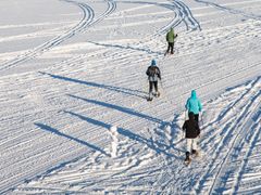 Finland_Lapland_snowshoe_shutterstock_489879124