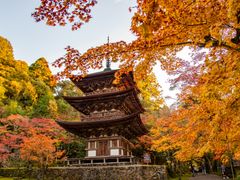 pixta_43428310_M