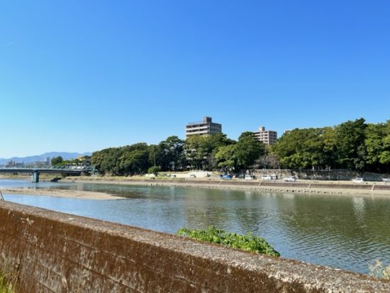 貸切観光タクシー 映画「竜とそばかすの姫」聖地巡礼＋仁淀ブルー観光　話題の人気スポットを1日で巡るよくばりツアー＜4時間半・7時間／高知龍馬空港・高知市内＞