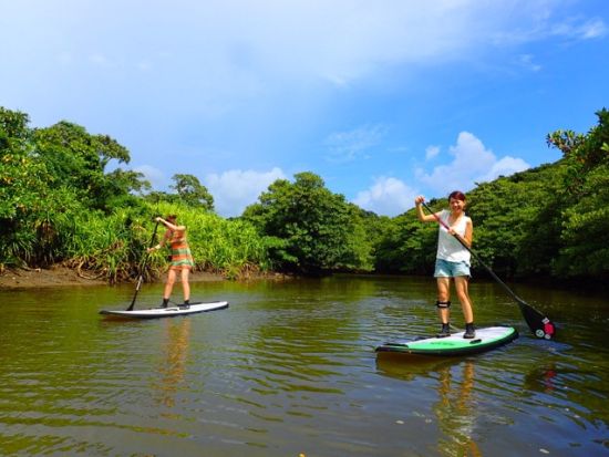 西表島半日マングローブSUP＋由布島観光ツアー 今話題のSUPを大自然の中で体験！水牛車で海を渡ってのんびり観光も＜昼食付／石垣島発＞