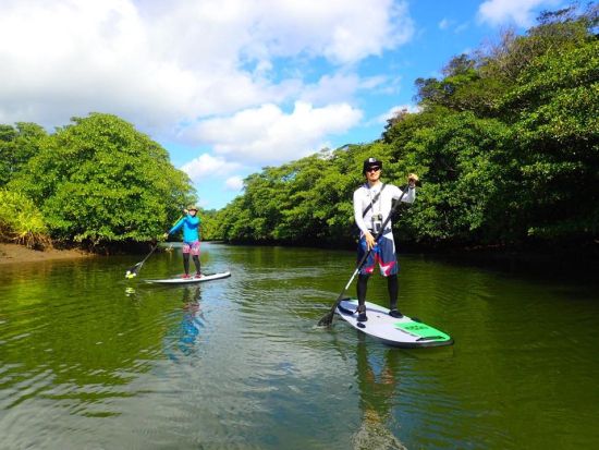 西表島半日マングローブSUP＋由布島観光ツアー 今話題のSUPを大自然の中で体験！水牛車で海を渡ってのんびり観光も＜昼食付／石垣島発＞