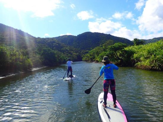 西表島半日マングローブSUP＋由布島観光ツアー 今話題のSUPを大自然の中で体験！水牛車で海を渡ってのんびり観光も＜昼食付／石垣島発＞