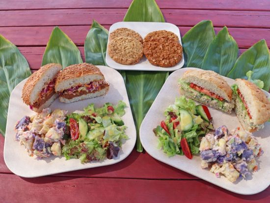 ハワイ島 ケアラケクア湾シュノーケリングツアー　滑り台や飛び込み台完備の船で行く！＜午前・午後／英語ガイド／食事付＞by フェアウィンド号