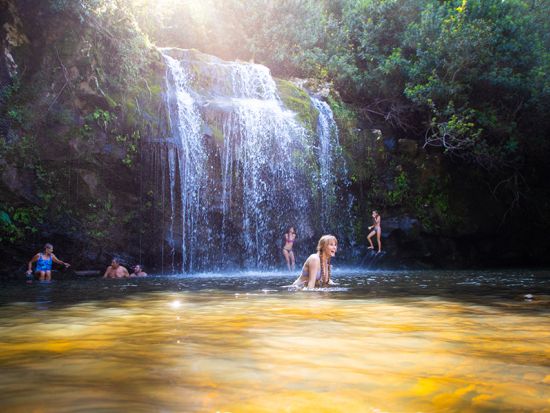 コハラ地区 ジップライン＆吊り橋渡り体験　滝つぼ遊び付きプランあり ＜英語インストラクター＞