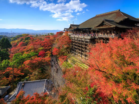 京都日帰りバスツアー 金閣寺 嵐山 清水寺 嵐山湯豆腐と京野菜つみれ鍋膳ランチ 土日 お土産付き 名古屋発 名古屋 愛知の観光 遊び 体験 レジャー専門予約サイト Veltra ベルトラ