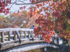 Japan_Kyoto_Arashiyama_Autumn_shutterstock_358652648