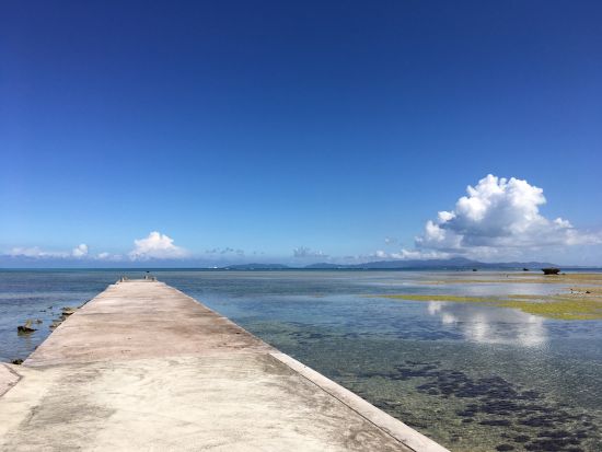 黒島レンタサイクル　石垣島からの往復フェリーチケット付き＜石垣島発＞