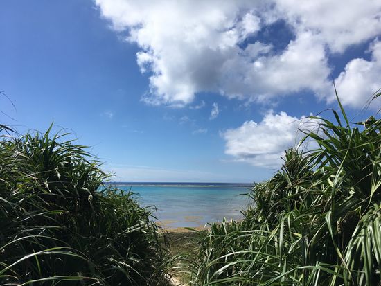 黒島レンタサイクル 石垣島からの往復フェリーチケット付き 石 石垣島 八重山の観光 オプショナルツアー専門 Veltra ベルトラ