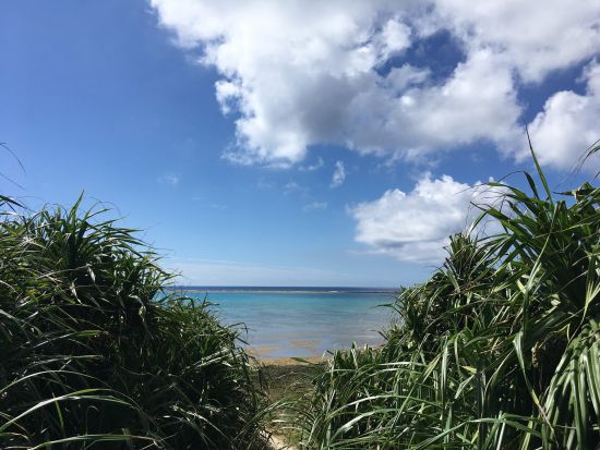 黒島レンタサイクル　石垣島からの往復フェリーチケット付き＜石垣島発＞