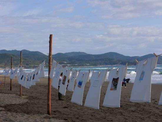 高知版「ウユニ塩湖」入野海岸＆砂浜美術館　貸切観光＜6時間／選べる出発時間／高知市内発＞