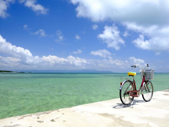 黒島レンタサイクル　石垣島からの往復フェリーチケット付き＜石垣島発＞