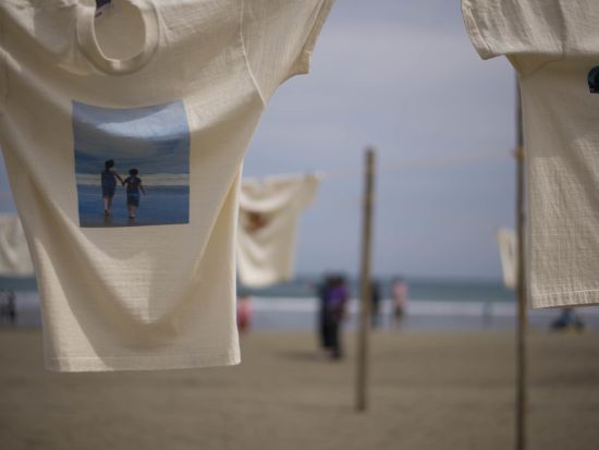 高知版「ウユニ塩湖」入野海岸＆砂浜美術館　貸切観光＜6時間／選べる出発時間／高知市内発＞