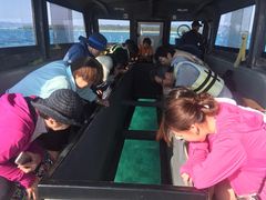 boat1