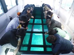 【はての浜】上陸+グラスボート遊覧ツアー　クルーズ気分で無人島を目指して、いざ上陸！＜11～6月催行／久米島＞の写真