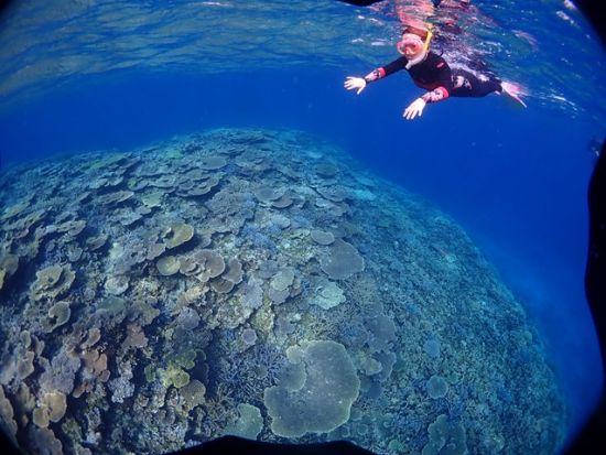 【八重干瀬】シュノーケリングツアー　ゆったりスケジュールの2ポイントを巡る＜通年催行／午前・午後／宮古島＞