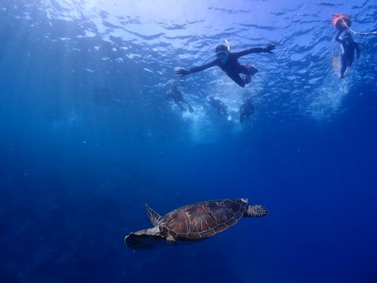 【八重干瀬】シュノーケリングツアー　ゆったりスケジュールの2ポイントを巡る＜通年催行／午前・午後／宮古島＞