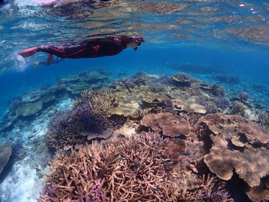 【八重干瀬】シュノーケリングツアー　ゆったりスケジュールの2ポイントを巡る＜通年催行／午前・午後／宮古島＞