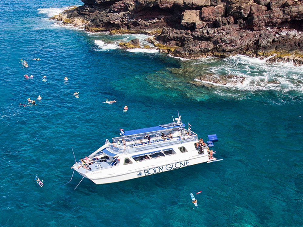 Kona Deluxe Snorkel Tour & Dolphin Watching Tour with Lunch Body